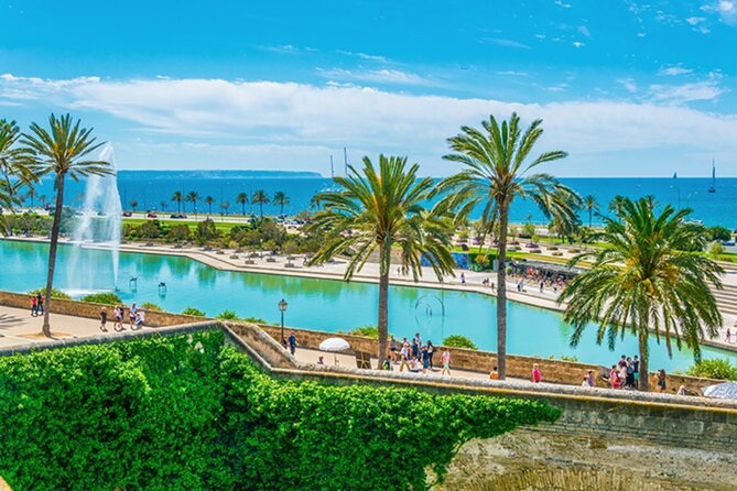 Guided Route through Palma with Cathedral and visit to Valldemossa (4H) - Pace, meeting points, and how to avoid stress on the day