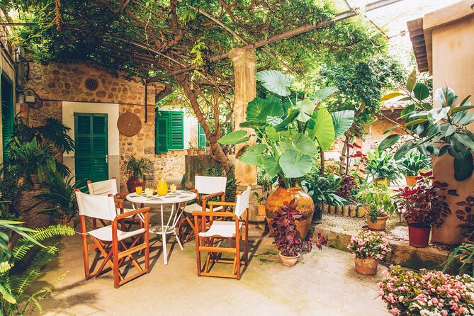 Guided Tasting Tour in 16th century House and Olive Oil Factory - Who should book this Can Det tasting tour?