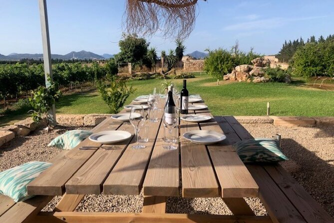 Guided tour of Butxet winery - Key things to know before you go