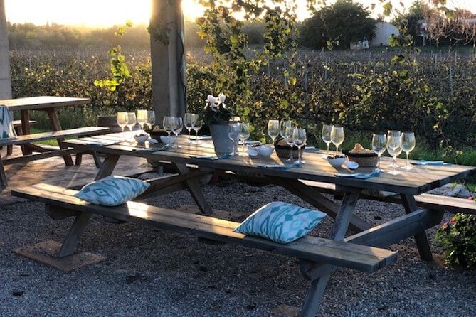 Guided tour of Butxet winery - Value for $27.61: why the math can work