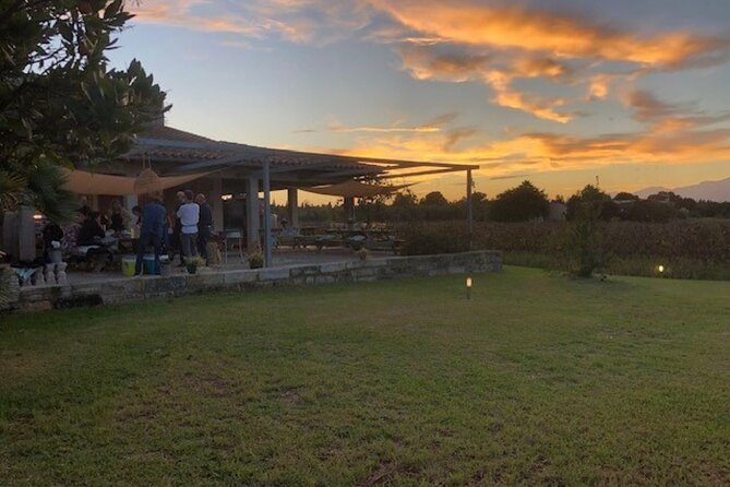 Guided tour of Butxet winery - Getting there: meeting point details that actually help