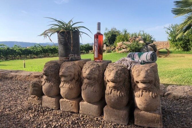 Guided tour of Butxet winery - The wine tasting: what’s included and how to approach it