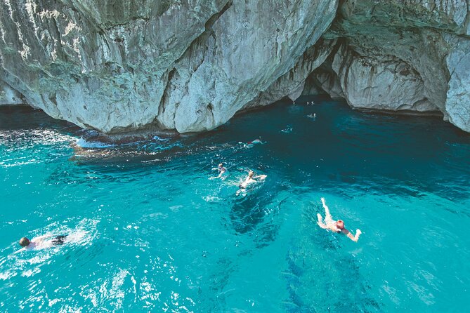 Half Day Boat Trip in the Bay of Alcudia - Stop at Port d’Alcúdia: cliffs, sea-life spotting, and cave swimming