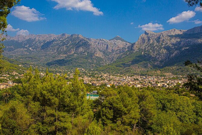 Half Day Guided Tour in Soller Train and Tram - The vintage Palma to Sóller train: why it’s worth the hype