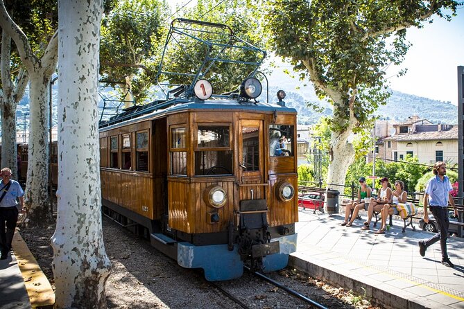 Half Day Guided Tour in Soller Train and Tram - Price and value: what $68.69 really covers