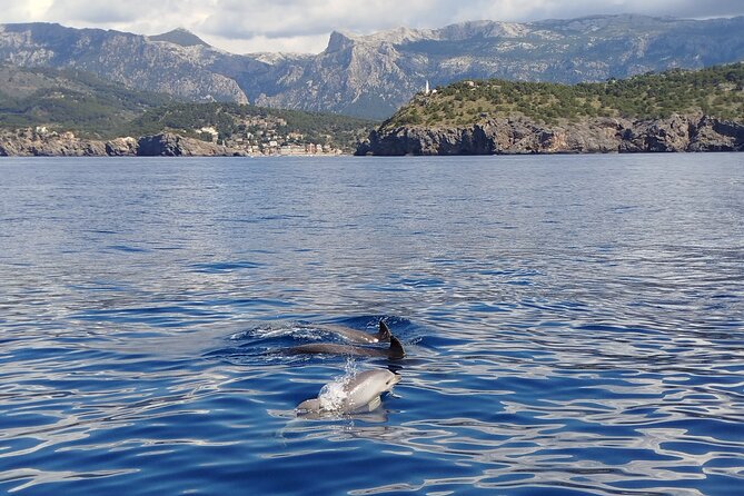 Half day private boat trip in Port de Soller - What a half day on board feels like (it’s 4 hours, but the rhythm matters)