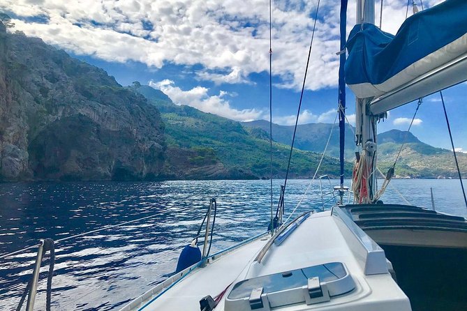 Half Day Sailing Excursion along the Coast - Key Highlights You’ll Feel Immediately