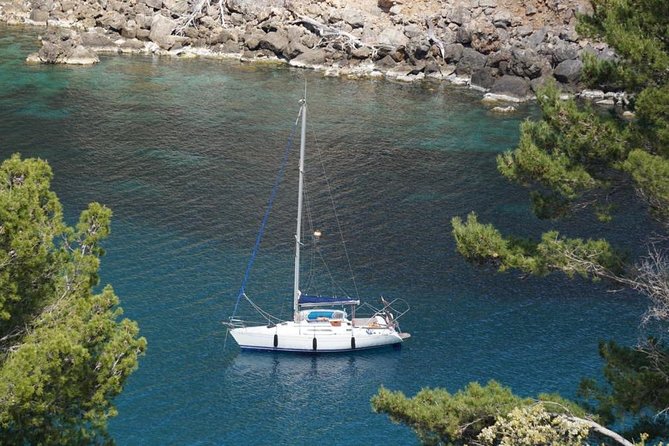 Half Day Sailing Excursion along the Coast - Life Jackets, Families, and People Who Want Safety Without Stress