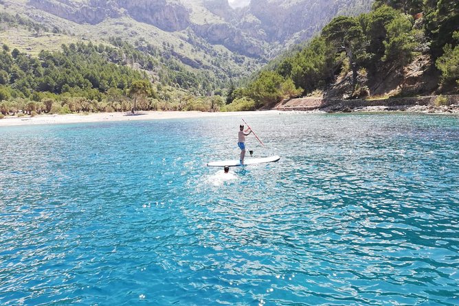 Half Day Sailing Excursion along the Coast with Sunset - Who This Sunset Sailing Trip Suits Best