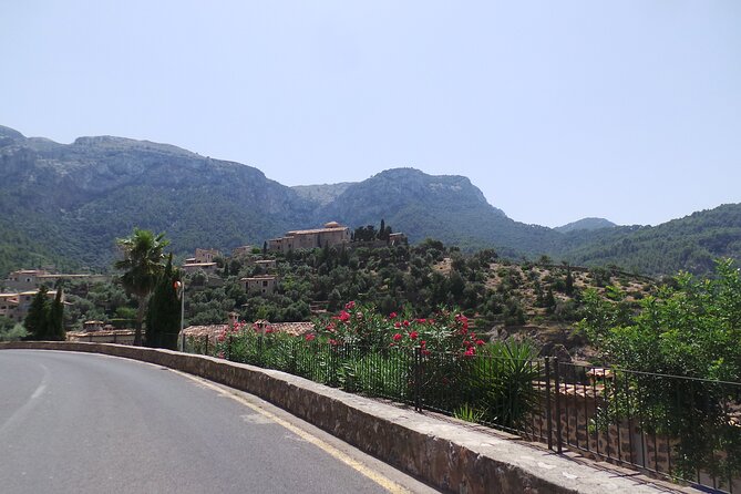 Half Day Slingshot Tour from Paguera - Estellencs and the Serpentines: Real Mountain Driving Meets Quiet Views