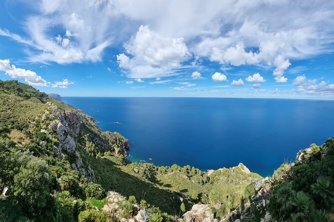 Half Day Slingshot Tour from Paguera - Port Andratx to Camp de Mar: Harbor Beauty, Then a Polished Beach Resort