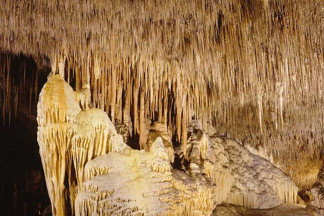 Half Day Tour Bus to the Caves of Drach - Crowds, queues, and walking comfort inside the cave