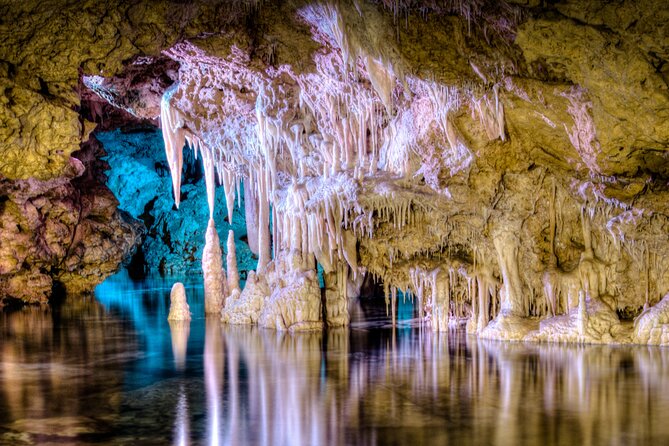 Half Day Tour to Dinosaur Land in Mallorca - Quick reasons to go