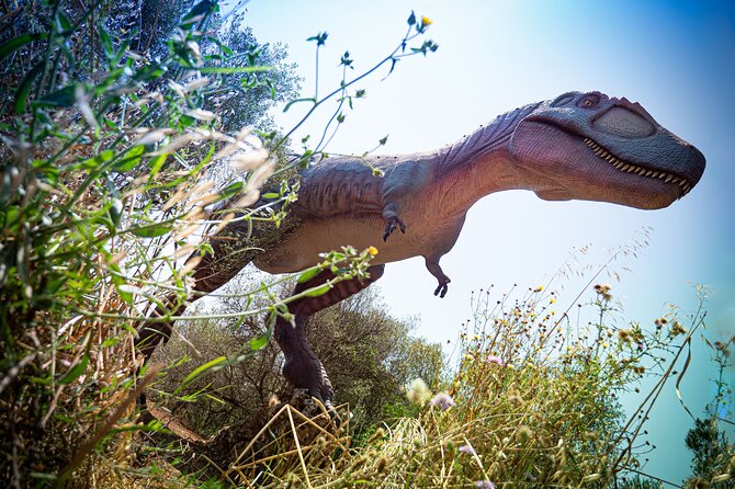 Half Day Tour to Dinosaur Land in Mallorca - Play areas and the dino dig: fun that actually keeps kids busy