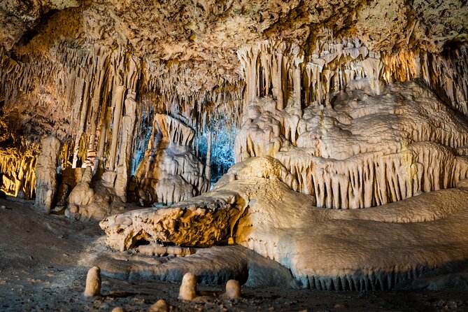 Half Day Tour to Dinosaur Land in Mallorca - Value check: is $68.61 for four hours a good deal?