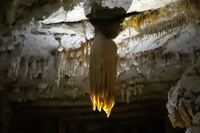 Hidden Mallorca: Sea Caving Adventure - Price and value: is $90.38 worth 5 hours with private guidance?
