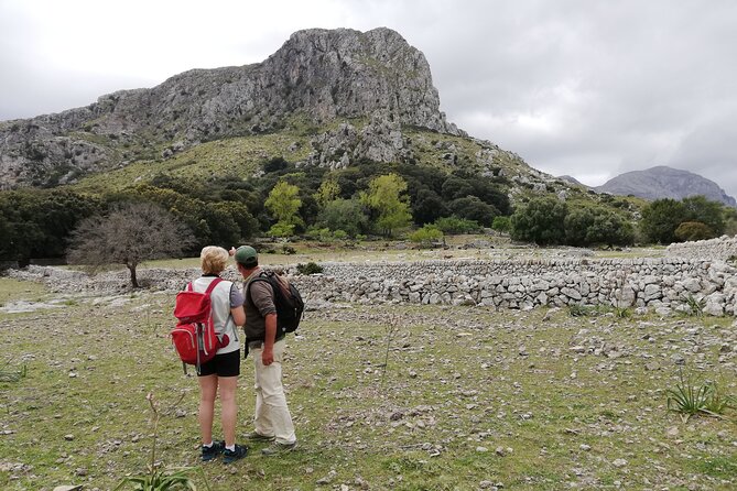 Hiking Private Tour in Pollensa - Price and logistics you should actually care about