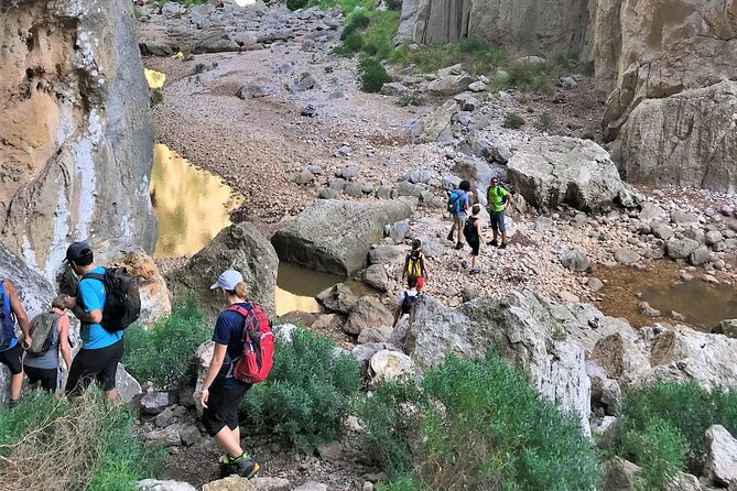 Hiking Private Tour in Pollensa - The 5-hour day plan: what you’ll do step by step