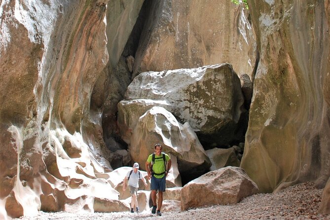 Hiking Private Tour in Pollensa - Value check: does $210.72 feel fair?