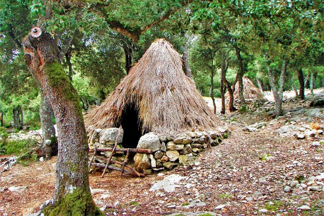Hiking Private Tour in Pollensa - Tips for a smoother day (small things that prevent big hassles)