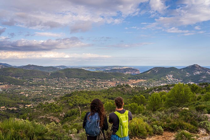Hiking Tour into the sunset - Port Andratx to Sant Elm - Sa Dragonera: bird-protected island views with a short stretch of water between