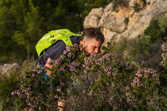 Hiking Tour into the sunset - Port Andratx to Sant Elm - How hard is it really? Fitness, shoes, and why this isn’t for beginners