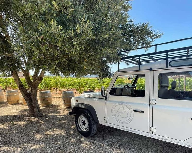 HISTORICAL BODEGA TOUR AND WINE TASTING - Getting There From Consell: a Short Jeep Ride That Sets the Tone