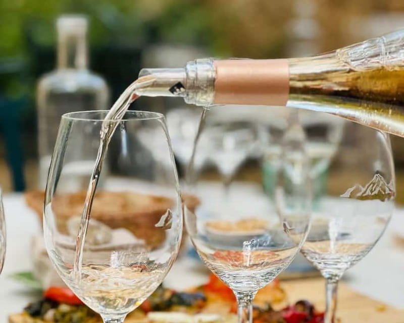 HISTORICAL BODEGA TOUR AND WINE TASTING - Who Should Book This (and Who Might Skip)