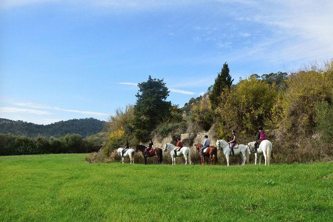 Horseback Riding in Randa Valleys, Mallorca, Spain - Key things to know before you go