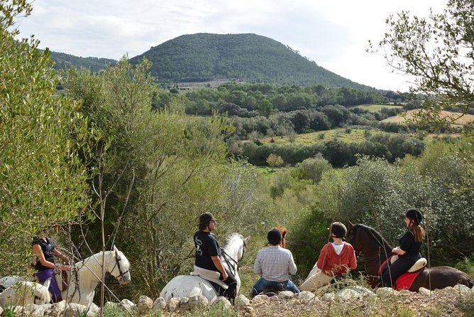 Horseback Riding in Randa Valleys, Mallorca, Spain - Andalusian Horses in Randa: What Makes This Ride Different
