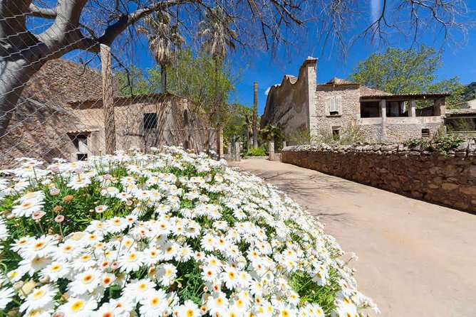 Jardines de Alfabia Tickets - Who this ticket suits best (and who should think twice)