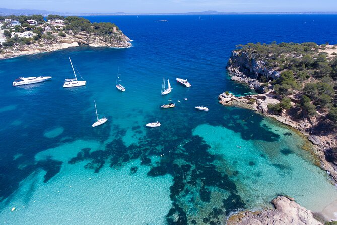 Jet Boat Excursion in South West Coast of Mallorca - Meeting at Bondi Beach Magaluf: How to Set Yourself Up