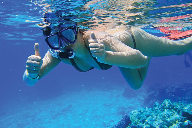 Jet Boat Excursion in South West Coast of Mallorca - Price and Value: Is $84.66 Actually a Good Deal?