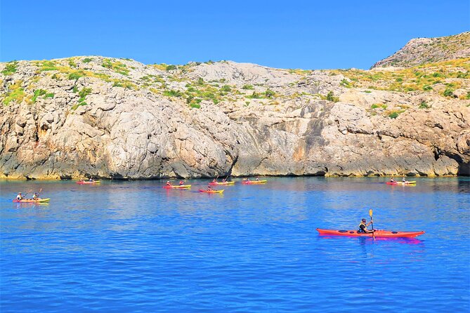 Kayak Secret Beach - Group Size and Guide Quality: Why It Matters on the Water