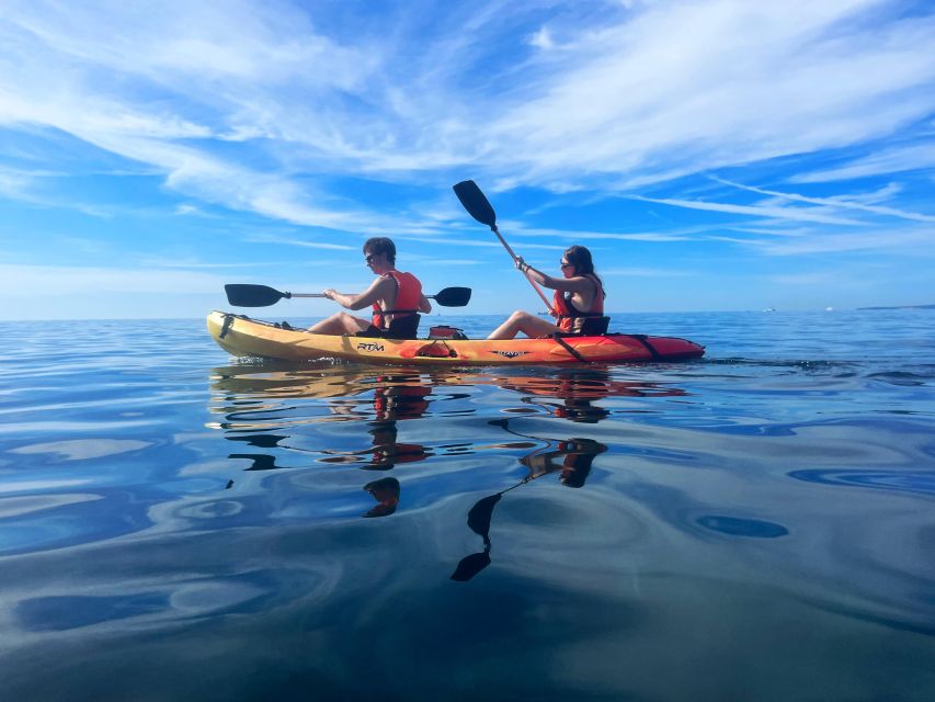 Kayak Tour Bay of Palma - Key Points Before You Go