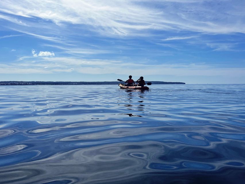 Kayak Tour Bay of Palma - Practical Tips: What to Bring, Wear, and Avoid