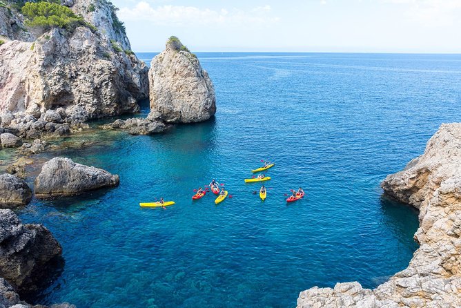 Kayak Tour to Malgrat's Islands from Santa Ponsa - Malgrats Natural Reserve: why protected water makes the difference