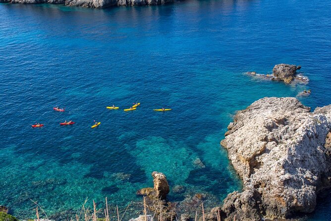 Kayak Tour to Malgrat's Islands from Santa Ponsa - Who this tour fits best: active families, first-timers, and nature lovers