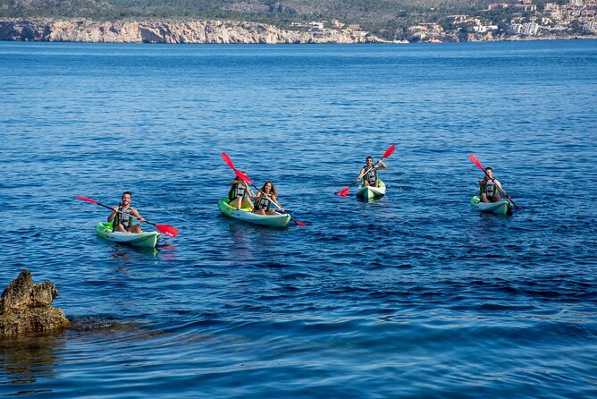 Kayak Tour to Malgrat's Islands from Santa Ponsa - The coast from the water: fewer crowds, close-up cliffs, better timing