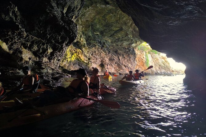 Kayak Tour with Caves, Snorkeling and Picnic (+ Cliff Jump) - Snorkeling inside and outside caves: the best way to see the marine life