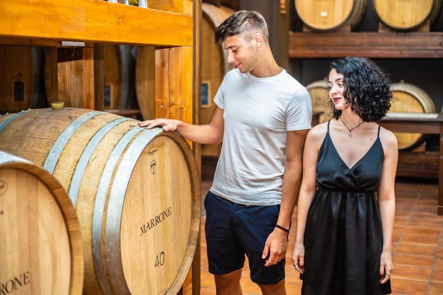 LANGHE : Vespa Tour to the Wine Region of Barolo - Practical tips to make the day smoother