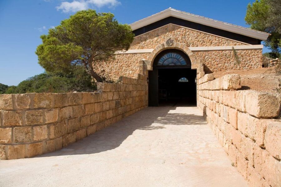 Llucmajor: Bodegas Bordoy Wine Tour - Key Moments Worth Planning For
