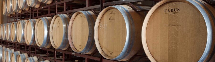 Llucmajor: Bodegas Bordoy Wine Tour - The Winery Walk: Production Room, Barrel Room, and Vineyards