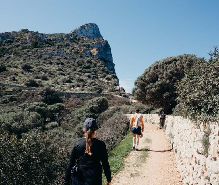 Majorca: Visit the Natural Park of Dragonera Island by boat - Key things to know before you go