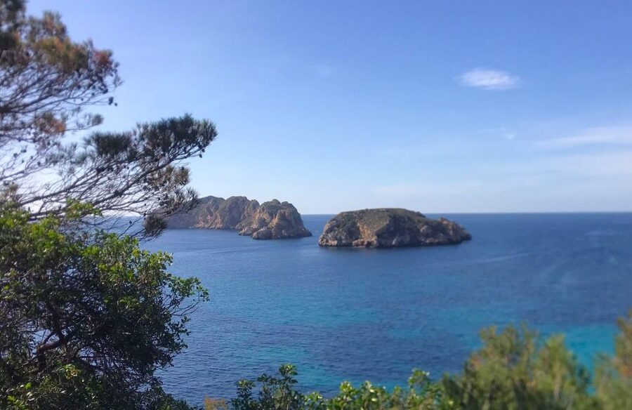 Mallorca: 2-Hour Coastline & Malgrat Islands Catamaran Tour - The Secret Swim Stop: 20 Minutes, Clear Water, and Fish-Spotting