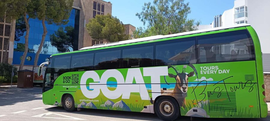 Mallorca: 3-hour bus tour around Calvià with 2 stops - Paguera promenade and the Santa Ponsa monument cross: the easiest warm-up