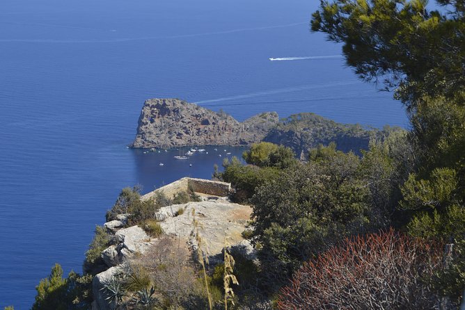 Mallorca: 5-hours Hidden Marvels Tour - Food and tastings: what you actually get
