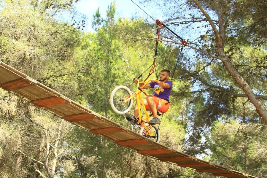 Mallorca: Adrenaline Tree Top Adventure Entry Ticket - Jungle Parc Mallorca in Santa Ponsa: big trees, big variety