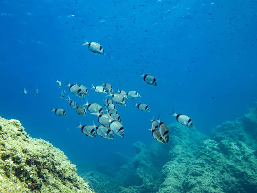 Mallorca: Adventure Diving (without a license - in the quiet off-season) - How the SSI Try Scuba Class Actually Works
