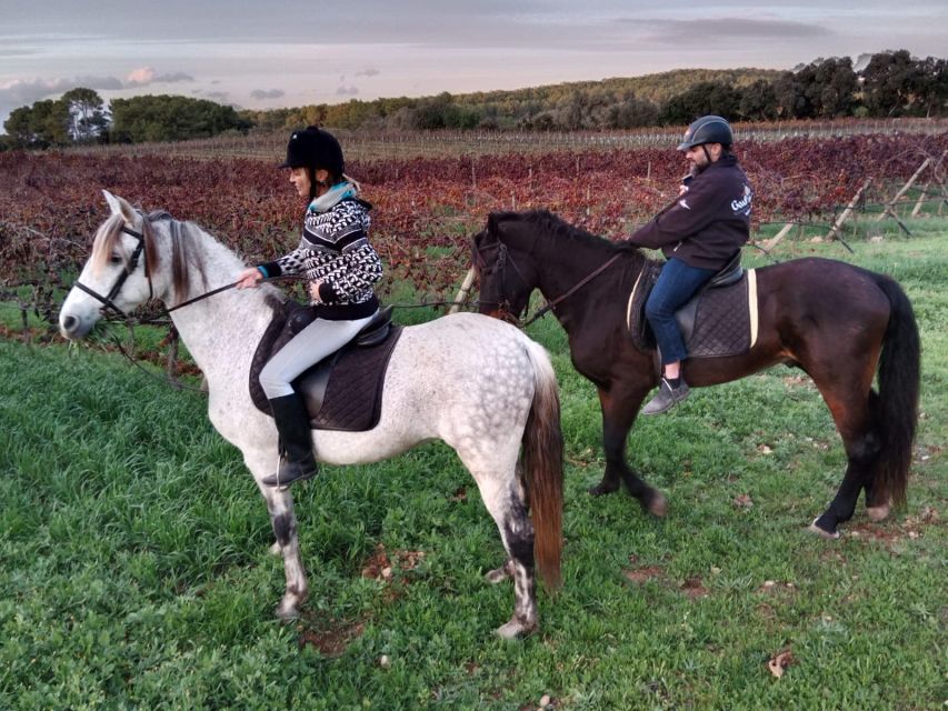 Mallorca: Authentic Horseback Ride in Rural Mallorca - Key things that make this ride worth it